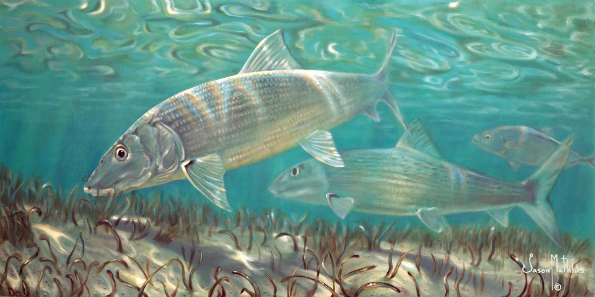bone-fish-art-jason-mathias-underwater-art-gamefish-art-sportfish-art-ghost-fish-flats-fishing-art-fly-fishing-art.jpg