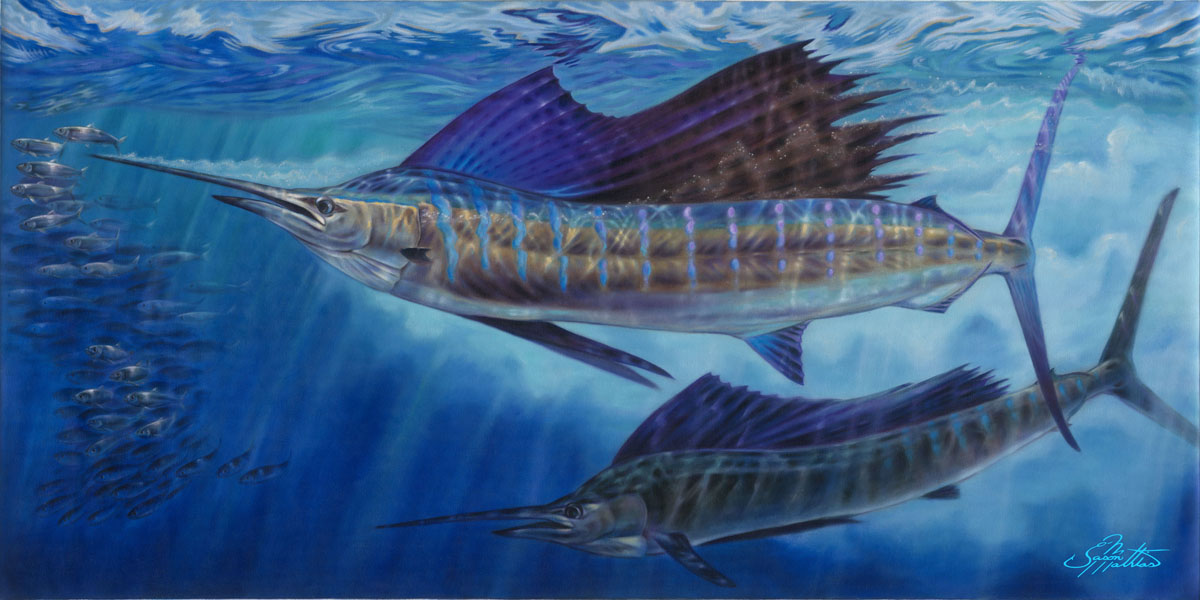 sailfish-art-jason-mathias-gamefish-art-sport-fish-art-billfish-art-underwater.jpg