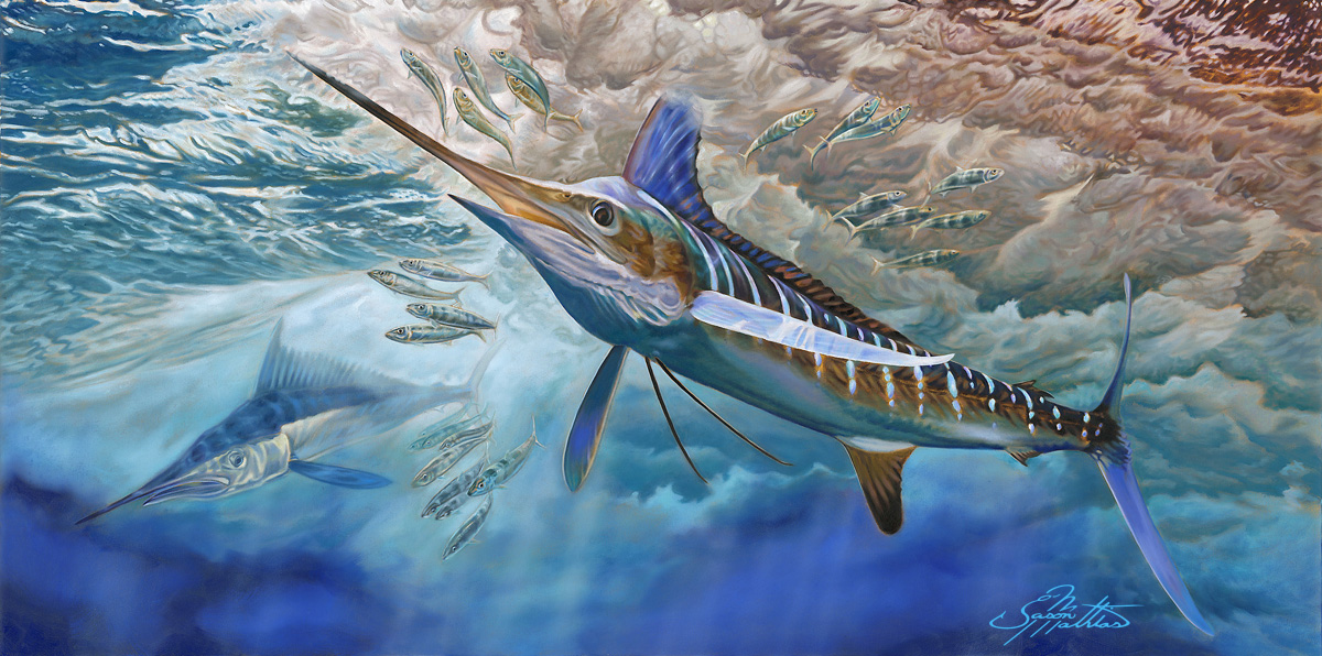 white-marlin-art-jason-mathias-gamefish-sportfish-fish-art.jpg
